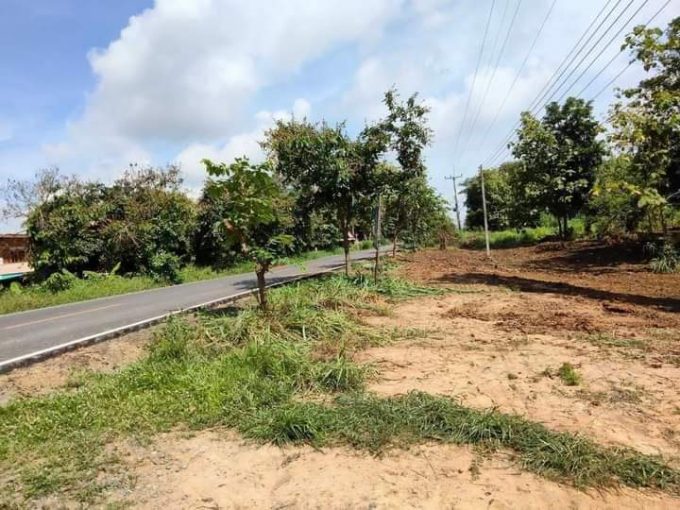 ขายที่ดินทำเลสวย จำนวน 11 ไร่ ตำบลท่าสัก อำเภอพิชัย จังหวัดอุตรดิตถ์